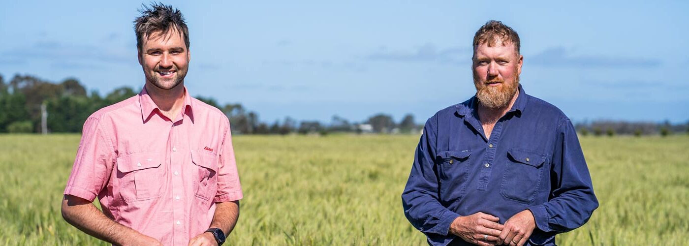 connor-steel-matt-brown-in-field-titanium-wheat